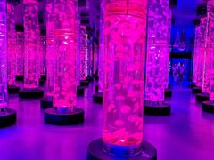 -梦幻海洋王国(吾悦广场张家港店)
