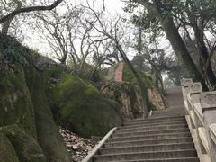 -灵岩山风景区