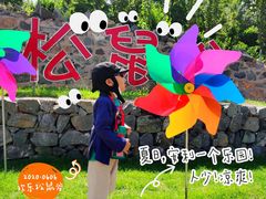 -欢乐松鼠谷