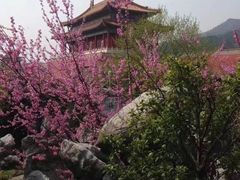 -横店影视城明清宫苑园区