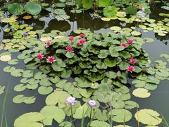 -国家植物园南园