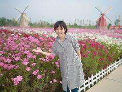 -南通鲜花小镇