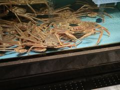 -阿伟海鲜楼·福建菜(延寿店)
