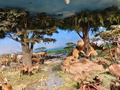 -国家自然博物馆