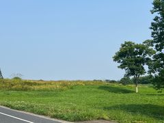 -良渚古城遗址公园