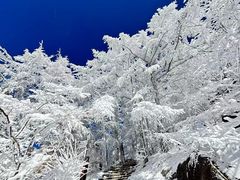 -崂山巨峰游览区