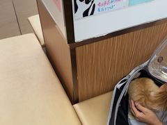 -瑞派中心宠物医院·CT·核磁·神经专科