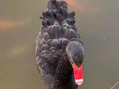 -春晖园度假酒店温泉