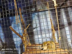 -酷嗒动物文化乐园(cutezoo西溪乐天城店)