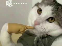 -Let's Taipei 非常烘焙(太古里店)