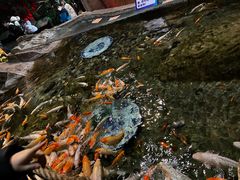 -北京海洋馆