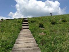 -白草畔自然风景区