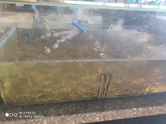 -Isla Sugbu Seafood City