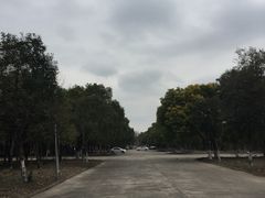 -通略驾校(新村路店)