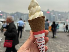 -富豪雪糕车流动点(尖沙咀店)
