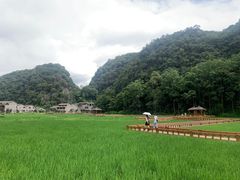 -高荡千年布依古寨旅游景区