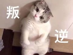 -啊噗吐呦现场烘焙(麦凯乐店)