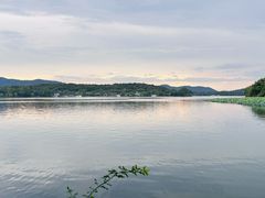 -浙江西子宾馆·牡丹厅