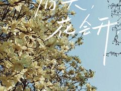 -睦南公园