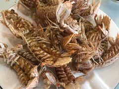 皮皮虾-金海湾海鲜排档(朱家尖店)
