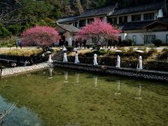 -温州永嘉书院