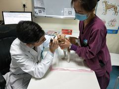 -宠颐生东兴动物医院(大悦城店)