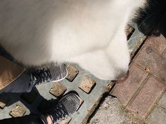 -喜士多(泰安店)