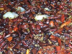 -雲蜀龙阁·金牌水煮鱼(方庄店)