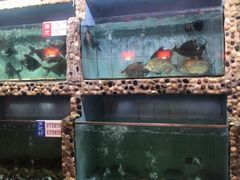 -勝記酒家·37年老字号·经典粤菜(荔枝公园店)