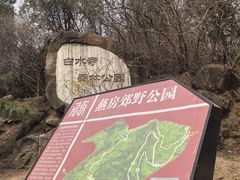 -白水寺森林公园