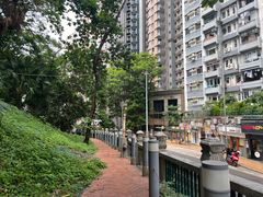 -香港大学