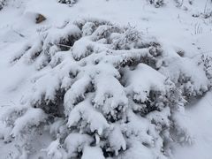 -灵山