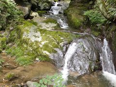 -藏龙百瀑风景区