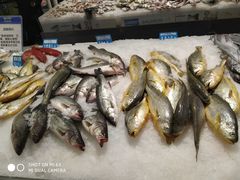 -麦德龙(郑东店)