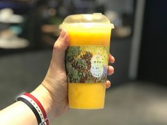 -野萃山·潮汕厚果汁(十亩地店)