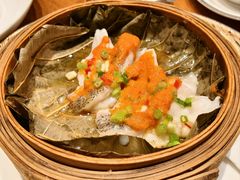 -广州富力君悦大酒店空中花园