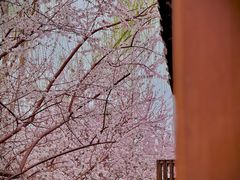 -春风习习