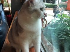 -咖法森林·咖啡  酒吧(天河店)