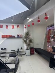 -FINE HAIR 烫染专业设计