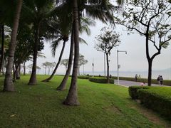 -深圳湾公园(南山区)