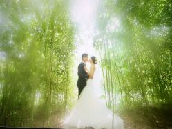 点击看大图 -太郎花子婚纱摄影艺术中心