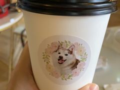 -Husky Go! 哈士奇体验馆·宠物咖啡厅狗咖