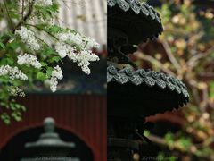 -国家植物园