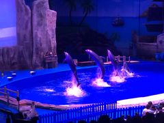 -华夏文旅海洋公园