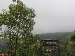 -呀诺达热带雨林