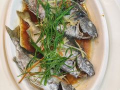 -阳江餐厅·30年老字号·粤菜海鲜大排档