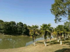 -艾溪湖湿地公园