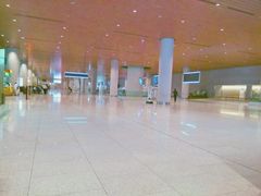 -贾特拉帕蒂·希瓦吉国际机场