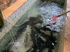 -荣德灶台鱼(圣泉寺店)