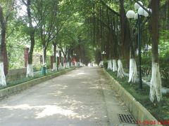 校道-广东食品药品职业学院(龙洞校区)